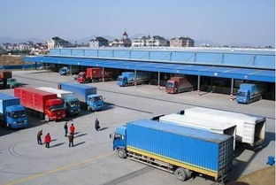 滴滴貨運(yùn)入場(chǎng) 道路貨物運(yùn)輸領(lǐng)域的“鯰魚效應(yīng)”與行業(yè)變革展望