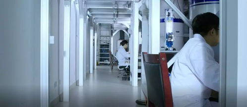 創(chuàng)新驅(qū)動(dòng)，服務(wù)升級(jí) 本源量子計(jì)算機(jī)制造廠信息技術(shù)咨詢服務(wù)再上新臺(tái)階